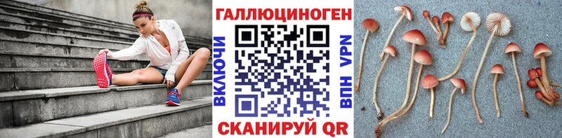 Псилоцибиновые грибы Cubensis  Питкяранта 